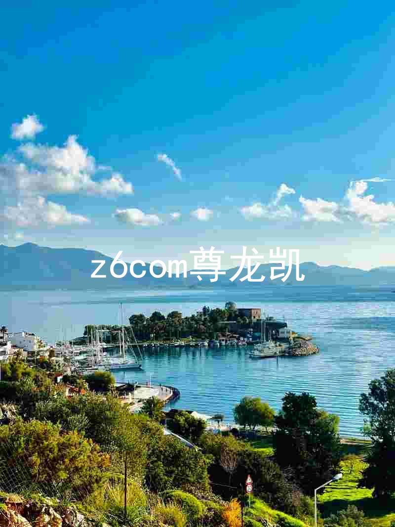 z6com尊龙凯